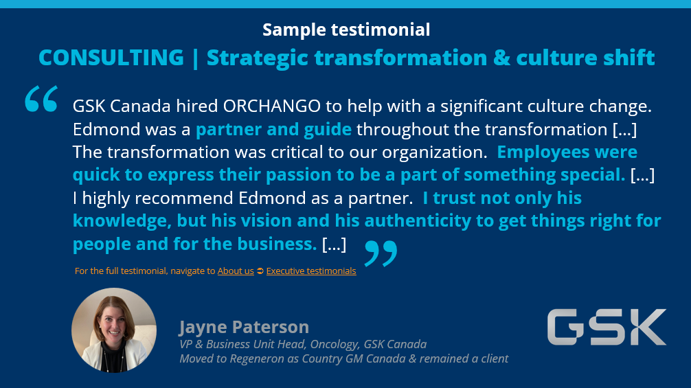 Sample testimonials about ORCHANGO’s consulting / advisory services