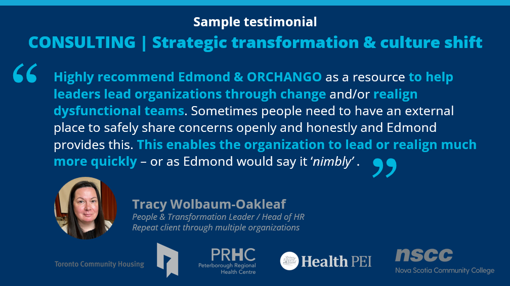 Sample testimonials about ORCHANGO’s consulting / advisory services